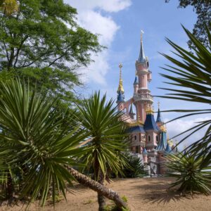 Quiz – Environnement