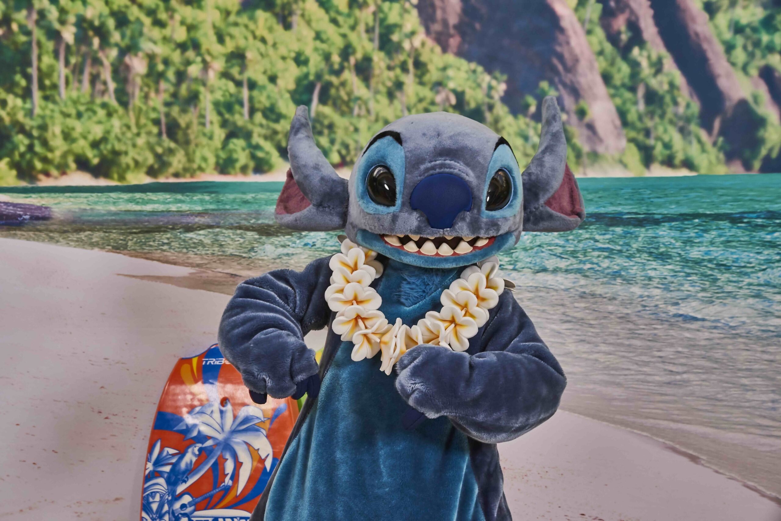 Stitch