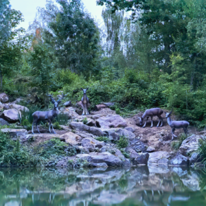 INSTALLATION OF THE NEW SCENES COMING TO RIVERS OF THE FAR WEST BEGINS