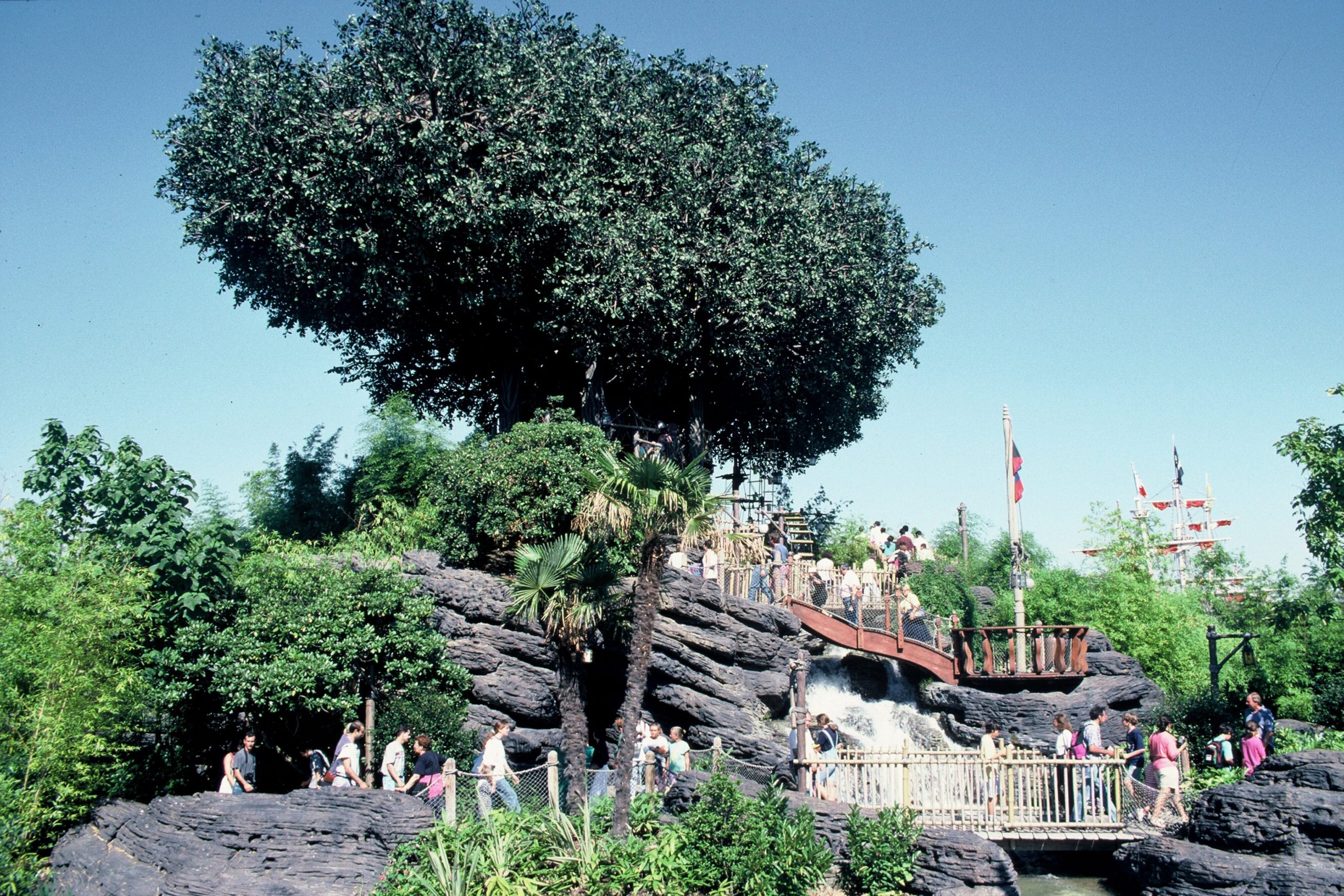 Arbre Adventureland