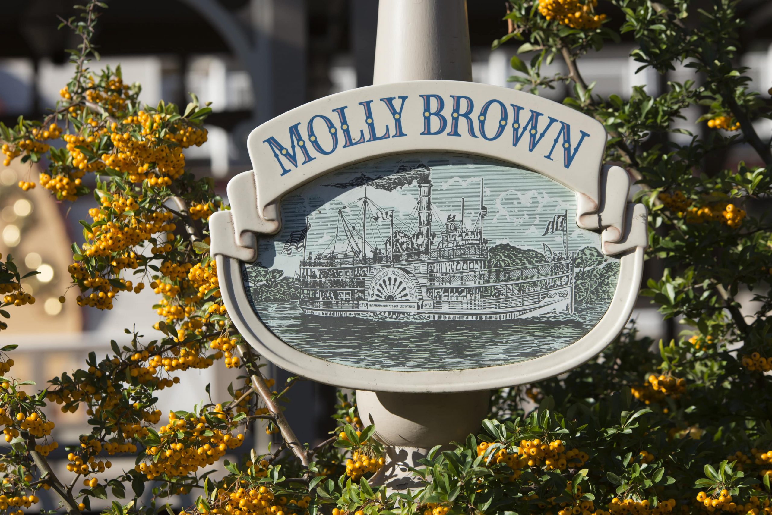 Panneau Molly Brown